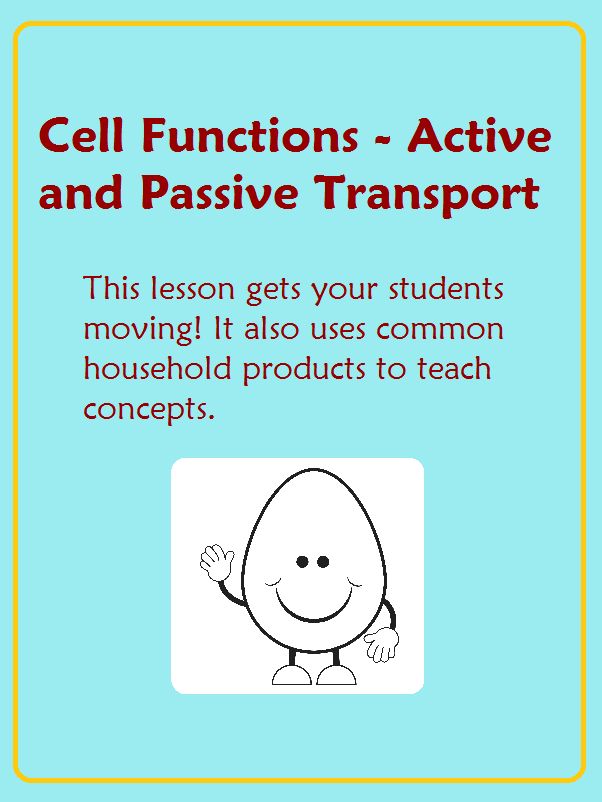 active student vs passive student active student vs passive student