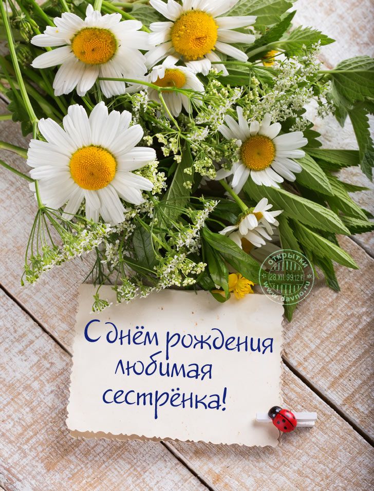 Открытка на день рождения сестре, английскому языку для
