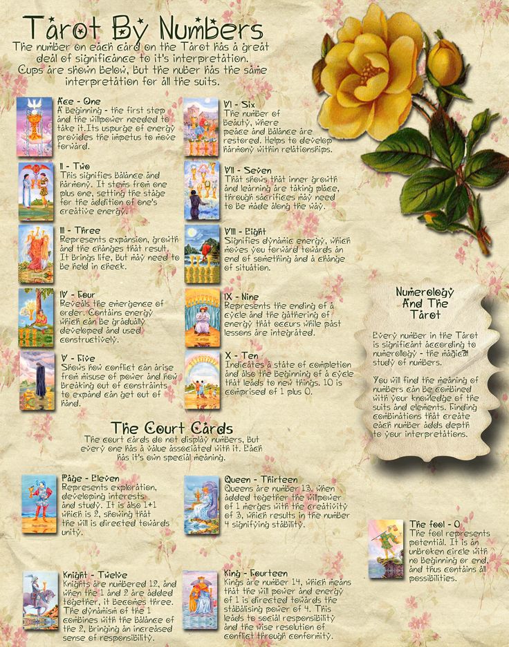 Best compatibility for life path number 7 photo 5