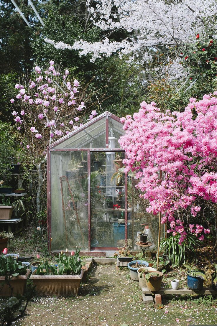 best 10+ contemporary greenhouses ideas on pinterest best 10+ contemporary greenhouses ideas on pinterest