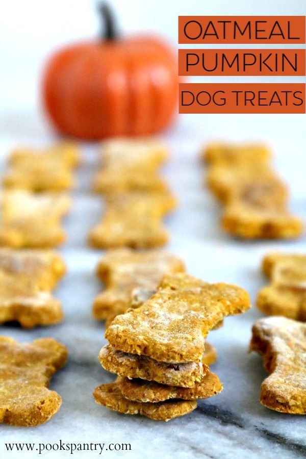 Oatmeal Pumpkin Dog Treat Recipe Dog Treat Recipes Pumpkin
