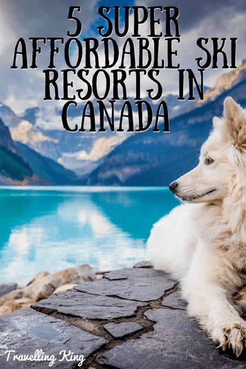rencontre loto foot newfoundland and labrador rencontre loto foot newfoundland and labrador