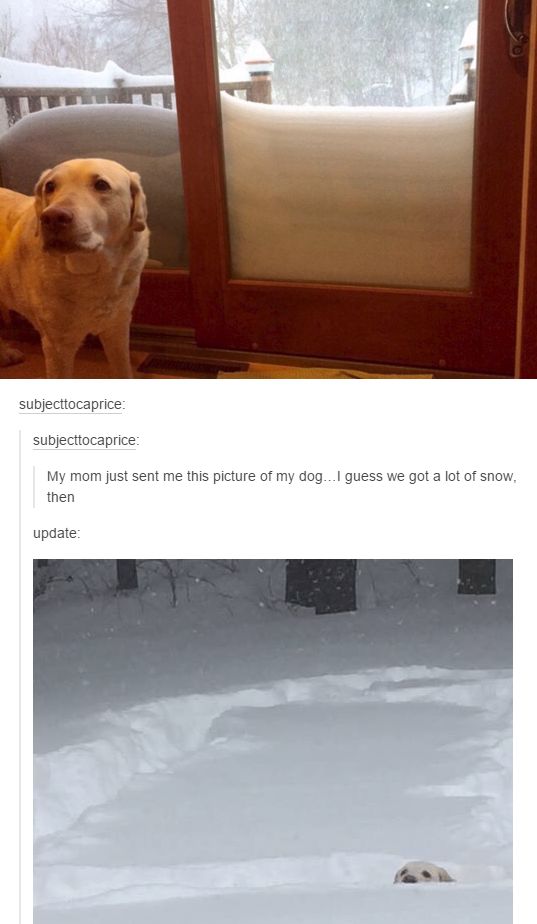 Funny Facebook Posts Funnyjokesfactory Co Uk Funny Funny Facebook Posts Funnyjokesfactory Co Uk Funny