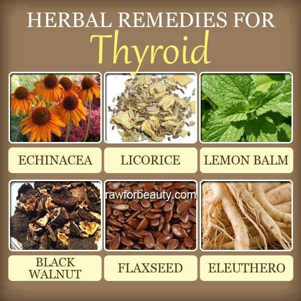 How To Make More Thyroid Hormone Naturally How To Make More Thyroid Hormone Naturally