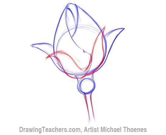 How to Draw a Rosebud | Roses drawing, Flower drawing tutorials ...