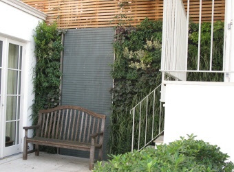 Vertical Garden Ideas Australia 97 best vertical garden images on pinterest | vertical gardens Vertical Garden Ideas Australia 97 best vertical garden images on pinterest | vertical gardens