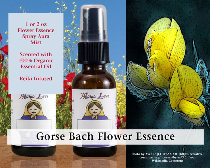 Gorse Bach Flower Essence Scented Spray Aura Mist Selfcare Etsy in