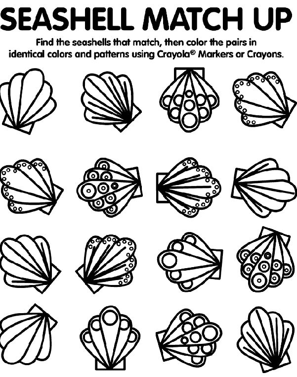 45 best fast finisher images on pinterest | free coloring pages ... - Seashell Coloring Pages Printable 45 best fast finisher images on pinterest | free coloring pages ... - Seashell Coloring Pages Printable