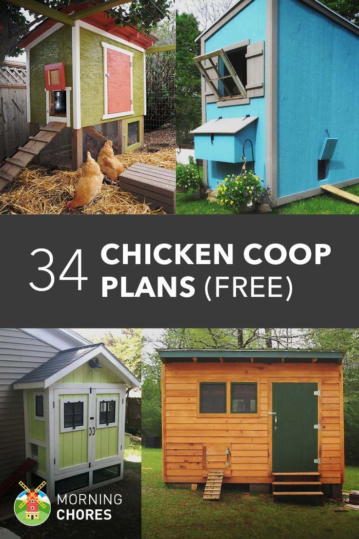 25+ unique Backyard farming ideas on Pinterest What is farming 25+ unique Backyard farming ideas on Pinterest What is farming