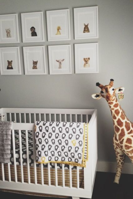 Baby Animal Photos Nursery Grant Gibson Interiordesign Baby Animal Photos Nursery Grant Gibson Interiordesign Grey Room Ideas Pinterest And Cribs