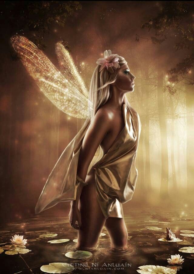Erotic fairy faerie Dildo granny trailers