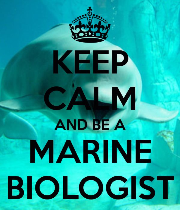 36 best Marine biologist life images on Pinterest Biologist - marine biologist job description 36 best Marine biologist life images on Pinterest Biologist - marine biologist job description
