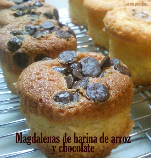 Magdalenas De Harina De Arroz Y Perlas De Chocolate Chocolate Sin Gluten Harina De Arroz Recetas Dulces Para Celiacos