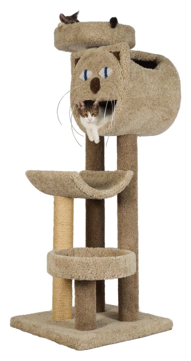 The Best Cool Cat Trees Ideas On Pinterest Cat Towers Cat - Cat Trees Carpet Covered Works Of Art the best cool cat trees ideas on pinterest cat towers cat - cat trees carpet covered works of art