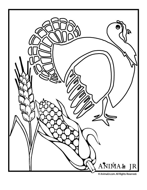 112 best Coloring Pages Line Drawings - Chickens images on Pinterest - fresh chinese new year zodiac coloring pages 112 best Coloring Pages Line Drawings - Chickens images on Pinterest - fresh chinese new year zodiac coloring pages