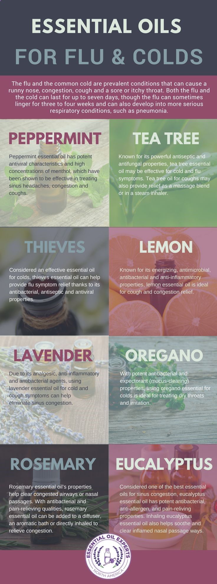 ebook essential oils for allergies A free essential oils ebook with step by step instructions on how to make your own room sprays and diffuser blends. ebook essential oils for allergies A free essential oils ebook with step by step instructions on how to make your own room sprays and diffuser blends.