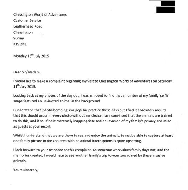writing complaint letter boss cover templates example damaged - complaint letter sample writing complaint letter boss cover templates example damaged - complaint letter sample