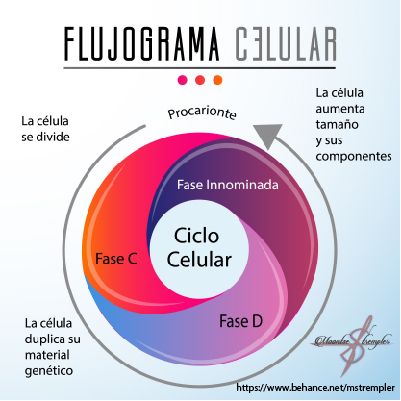 20 best Infografías images on Pinterest - best of tabla periodica actualizada blanco y negro 20 best Infografías images on Pinterest - best of tabla periodica actualizada blanco y negro