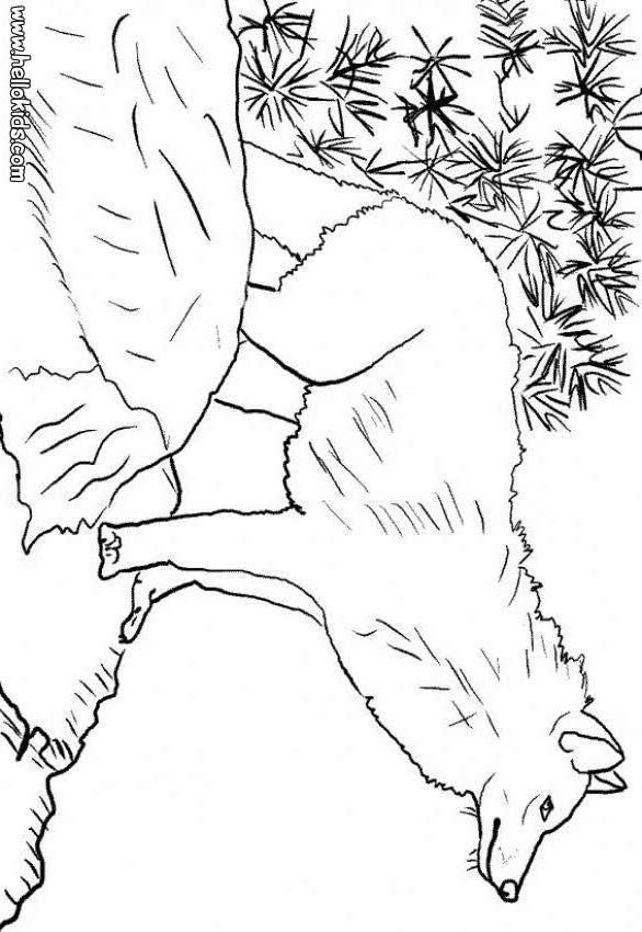 Coloring Pages Of Dangerous Animals : Best dangerous animal theme images on pinterest Coloring Pages Of Dangerous Animals : Best dangerous animal theme images on pinterest