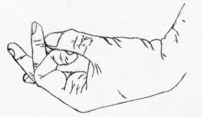 Contour Line Drawing Exercises : Best contour line drawings images on pinterest
