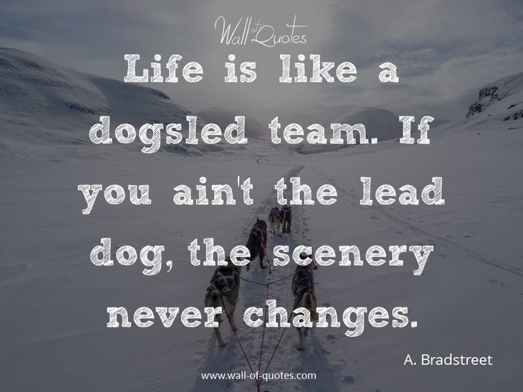 Pin by WallofQuotes on Winter Quotes | Winter quotes, Wall quotes, Life