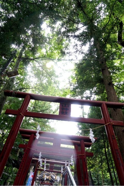 神社 のアイデア 9 件 神社 神社 イラスト 美しい風景 神社 のアイデア 9 件 神社 神社 イラスト 美しい風景