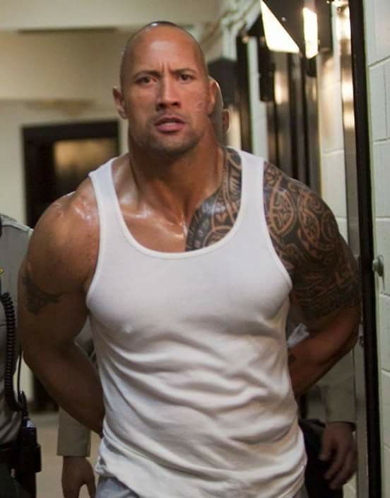 best 25 dwayne jonhson ideas on pinterest dwayne johnson the best 25 dwayne jonhson ideas on pinterest dwayne johnson the