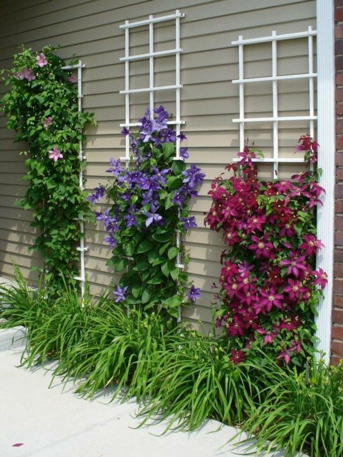 Simple Flower Garden Ideas Pictures best 25+ flower garden design ideas on pinterest | growing peonies Simple Flower Garden Ideas Pictures best 25+ flower garden design ideas on pinterest | growing peonies