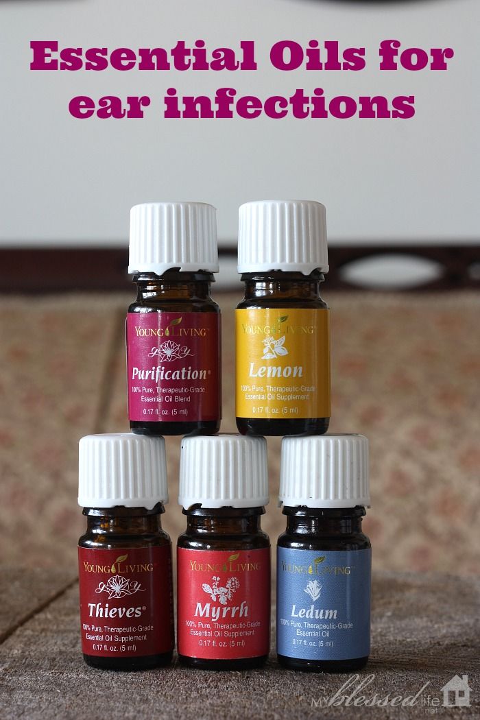 Doterra Oils For Ear Infections In Dogs Doterra Oils For Ear Infections In Dogs