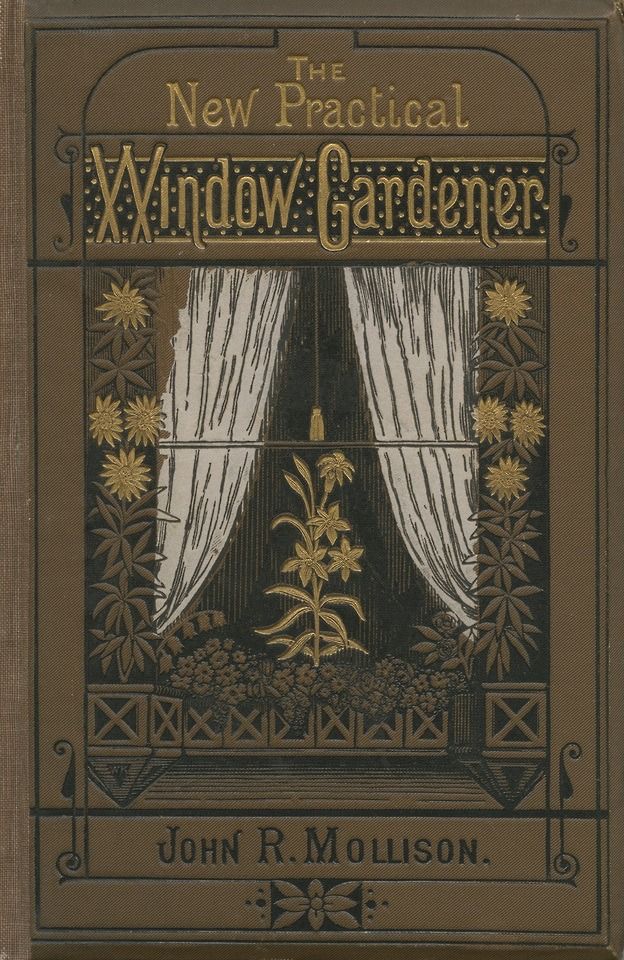 The Lighthouse Book Cover Art Book Art Antique Books