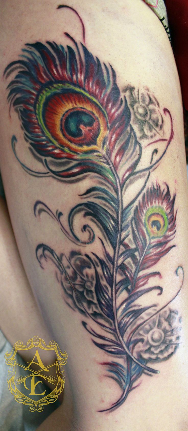 the 25 best small peacock tattoo ideas on pinterest small the 25 best small peacock tattoo ideas on pinterest small