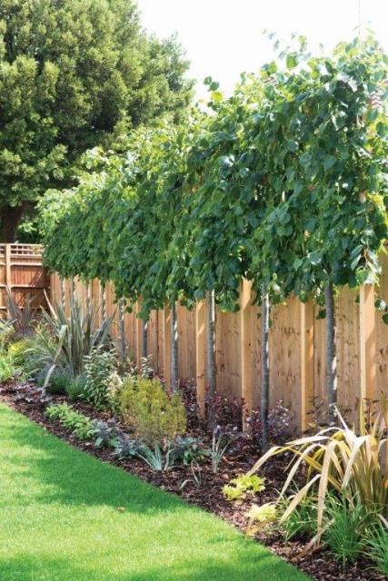 10 Landscaping Ideas To Turn Your Yard Into Paradise My Dream 10 Landscaping Ideas To Turn Your Yard Into Paradise