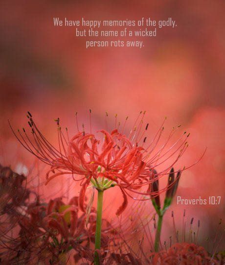 Proverbs 10 7 Nlt Proverbs 10 Bible Scriptures Proverbs proverbs-10-7-nlt-proverbs-10-bible-scriptures-proverbs