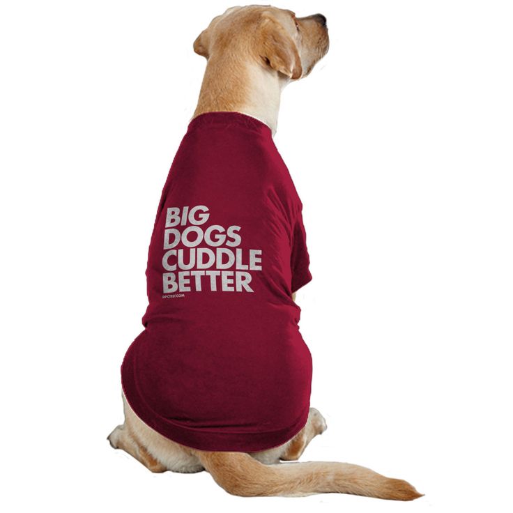 Pictures Of Big Red Dogs Pictures Of Big Red Dogs