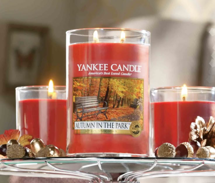 Yankee Candle Jars, Candle Shop, Happy Fall, Time Management, Seasonal Decor, Household Items, The Park, Fragrances, Candles
