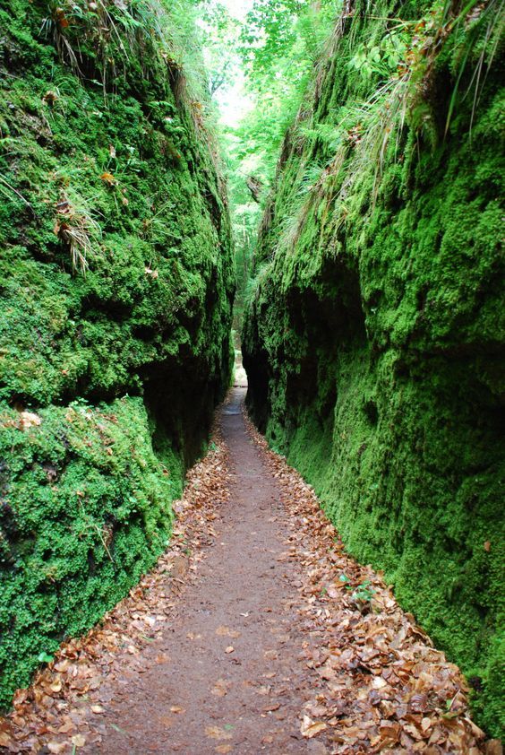 Single wanderungen hessen
