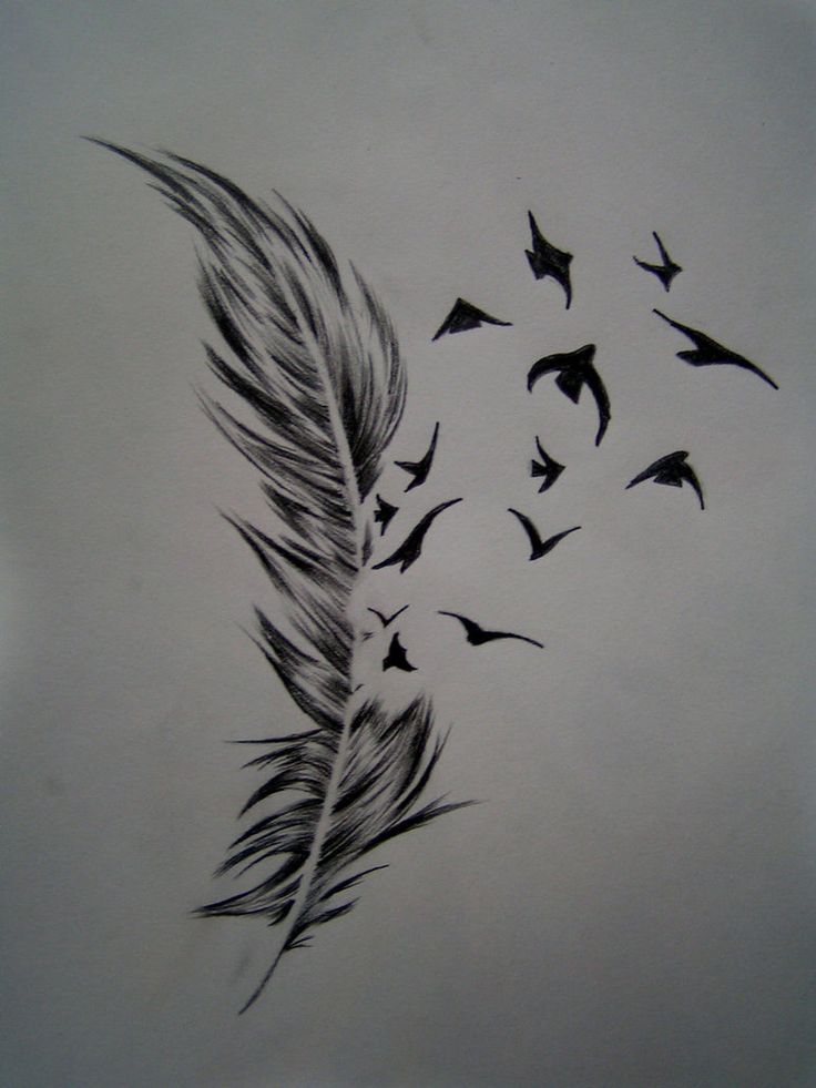 the 25 best bird tattoo meaning ideas on pinterest flying birds the 25 best bird tattoo meaning ideas on pinterest flying birds