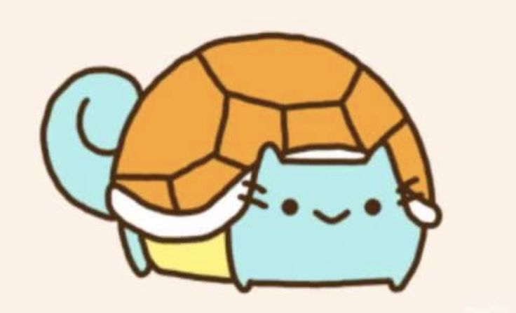 Pusheen turtle sales