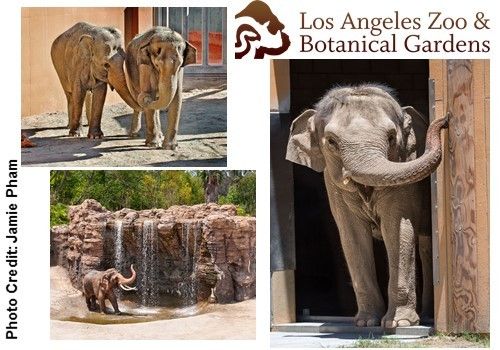 Natural History Museum Los Angeles Promo Code Natural History Museum Los Angeles Promo Code