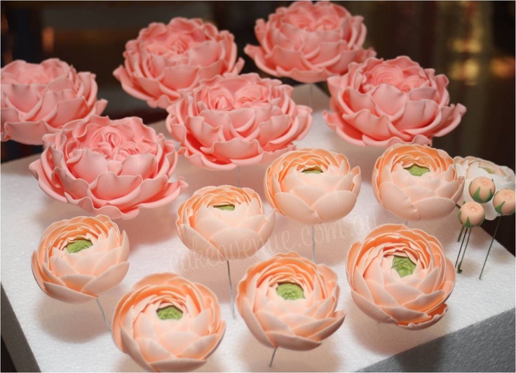 Cake Sugar Paste Cake Sugar Paste