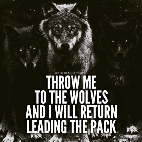 Throw Me To The Wolves Quote Pin on Quotes