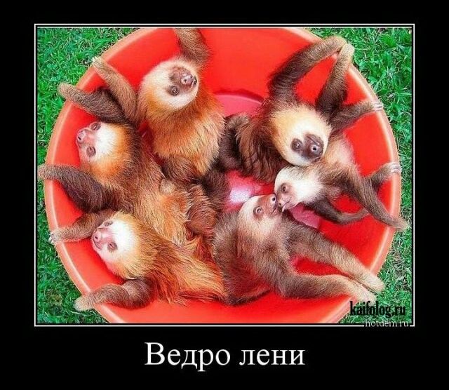 Картинка леня смешная