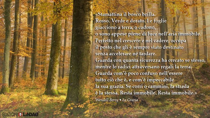 Il mercante di Venezia - Atto III - Di W. Shakespeare ...