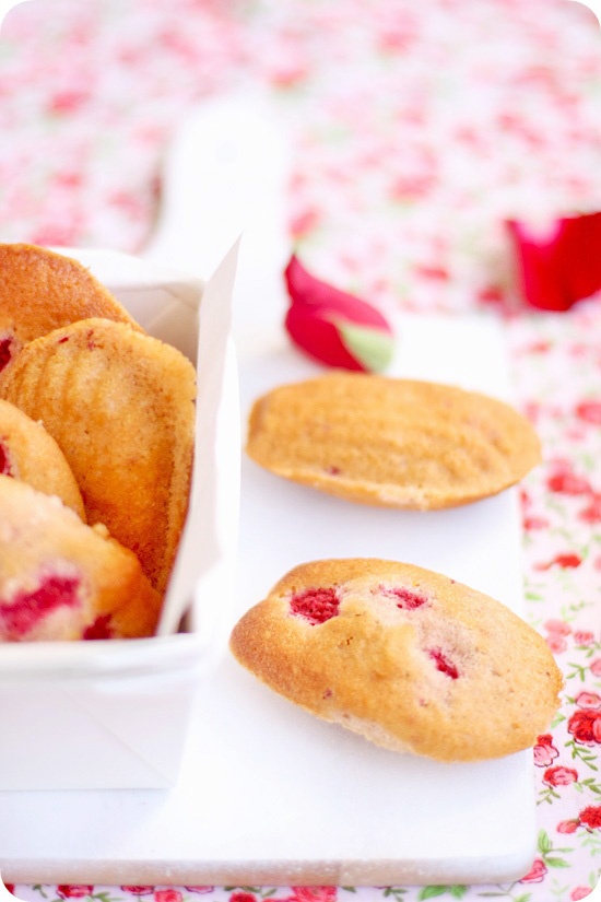 Macaron Caf Ef Bf Bd Paris Macaron Caf Ef Bf Bd Paris