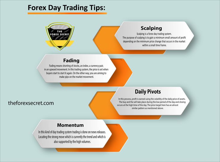 Forex Infography | Forex, Forex trading tips, Day trading