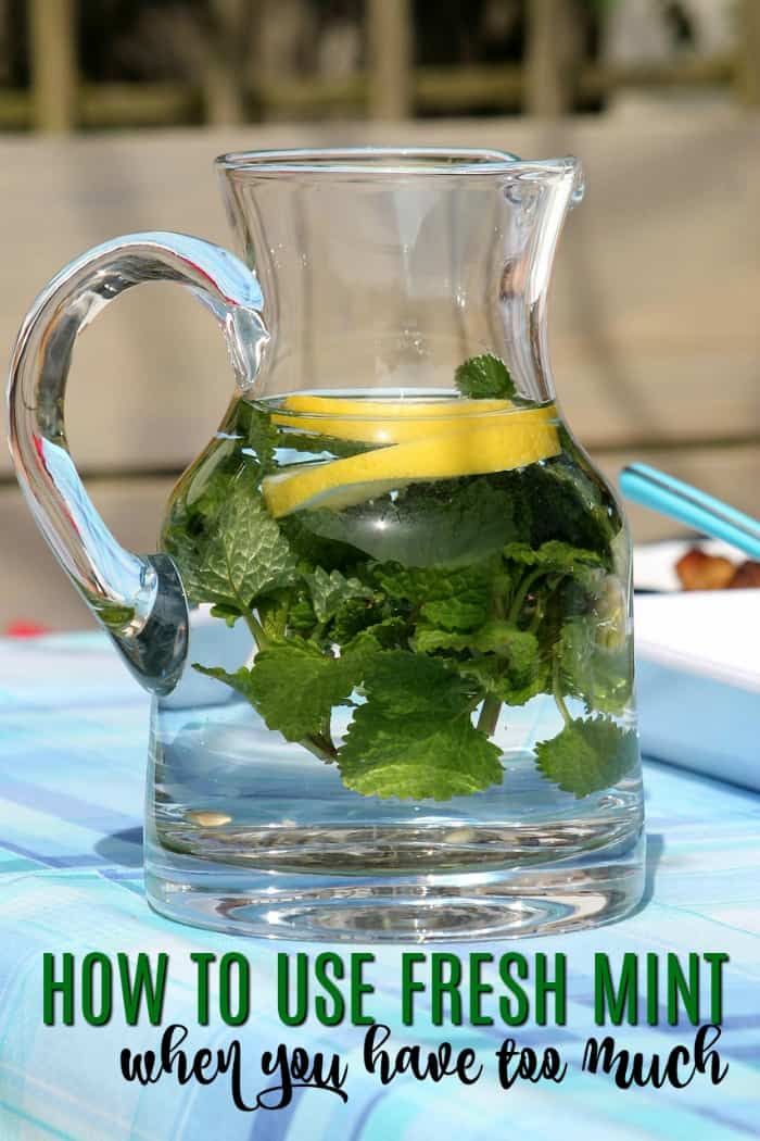 What To Do With Too Much Fresh Mint From the Garden in 2020 Mint