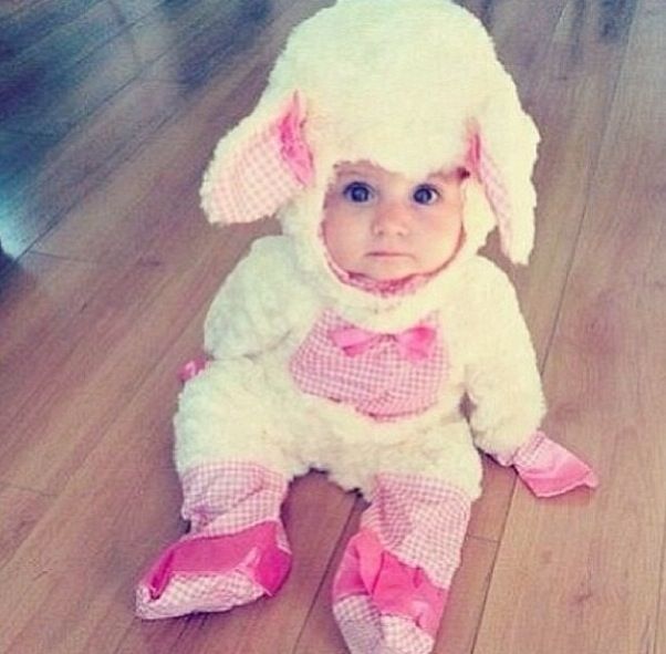 images baby cute