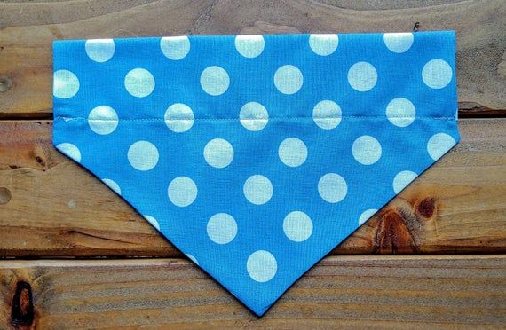 Teal Polkadot Over The Collar Bandana