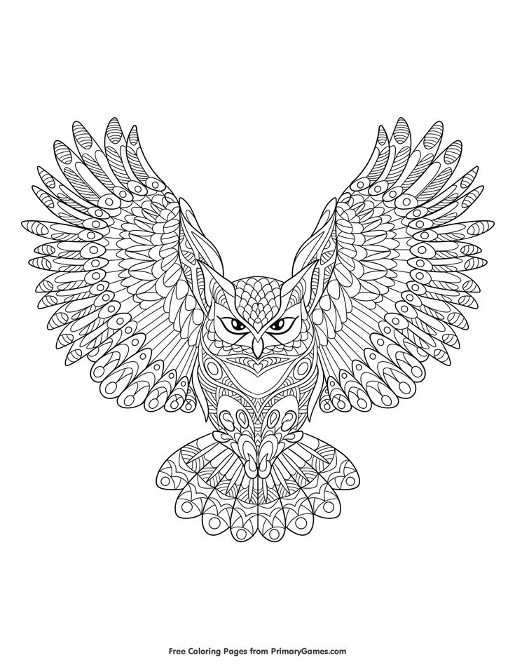 1157 best Раскраски images on Pinterest Coloring books, Coloring - copy baby owl coloring pages for adults 1157 best Раскраски images on Pinterest Coloring books, Coloring - copy baby owl coloring pages for adults