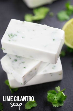 Lime Cilantro Soap